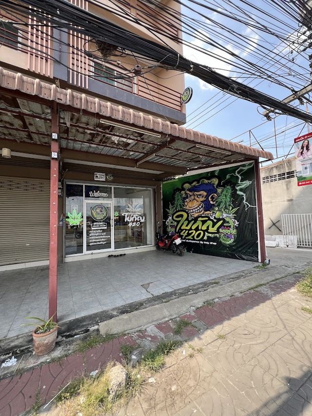 ใบกัญ 420 storefront in Ayutthaya