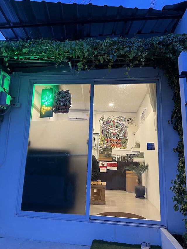 HOLLYWEED 420 storefront