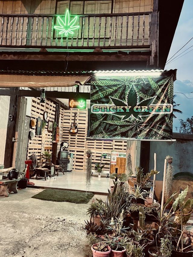 ร้านกัญชา STICKY GREEN 420 storefront