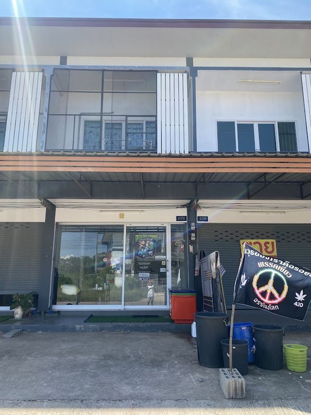 Green Zone Cannabis storefront