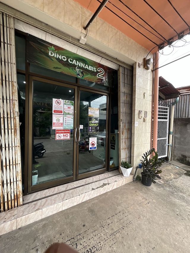 Dino cannabis 2 storefront