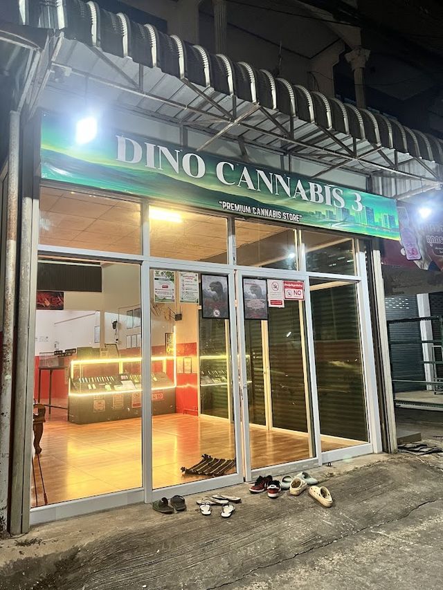 Dino cannabis 3 storefront