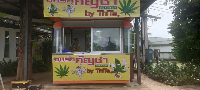กอลิล่า cannabis shop storefront