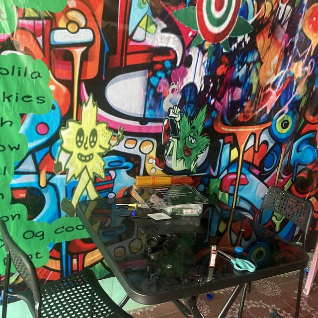 SLOW HIGh cannabis & studio storefront