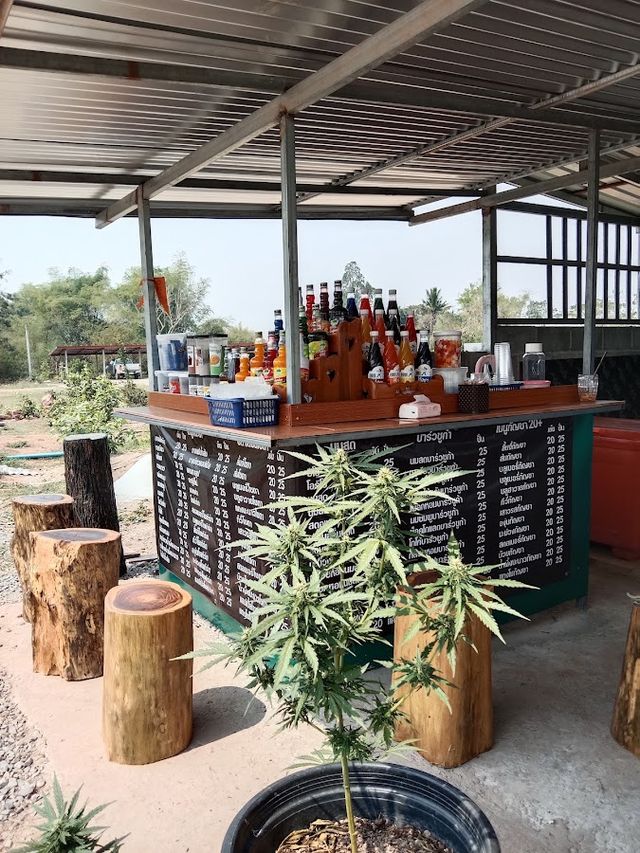 เมตตากัญชา Metta cannabis storefront