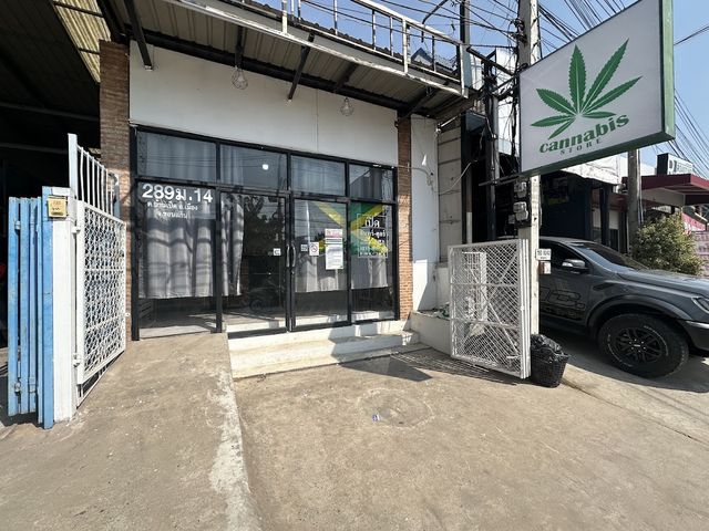 Panther THC Cannabis Shop storefront