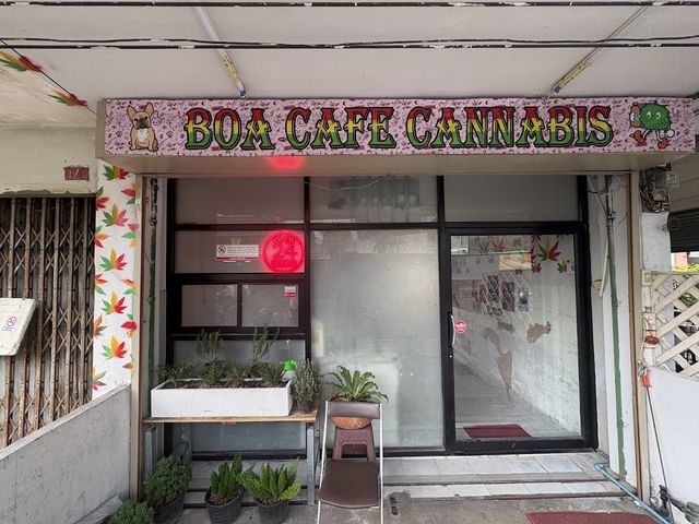 Boa Cafe Cannabis storefront