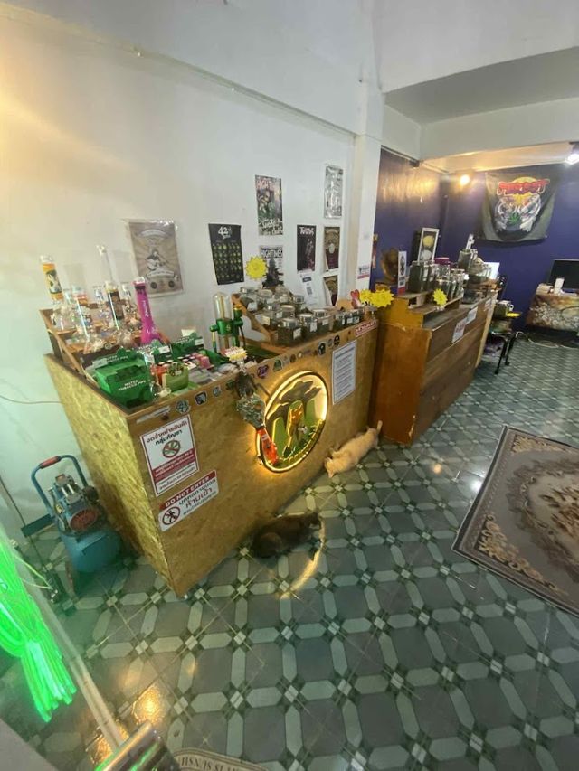 FOREST CANNABIS MAHASARAKHAM storefront