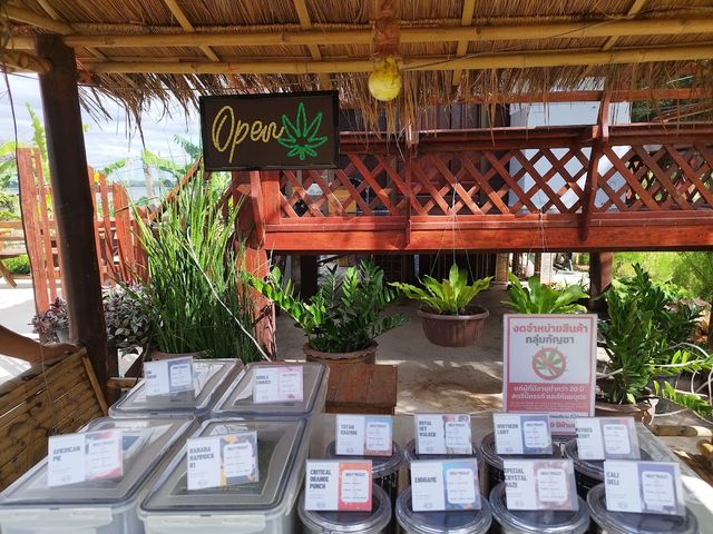 Green Cartel PanLamphao Cannabis ร้านกัญชาพันลำปาว storefront