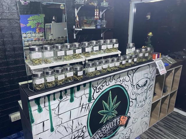 Nasoy Cannabis shop storefront