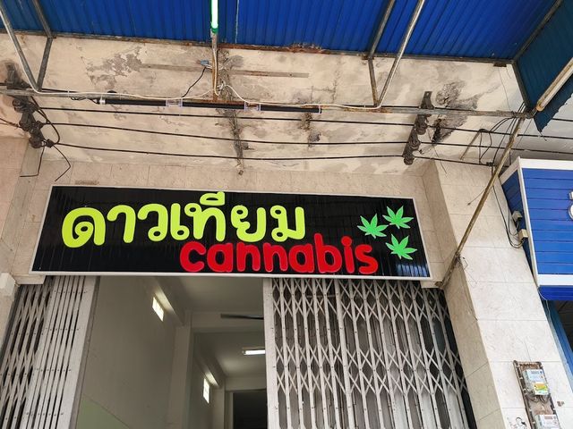 ดาวเทียม Cannabis storefront