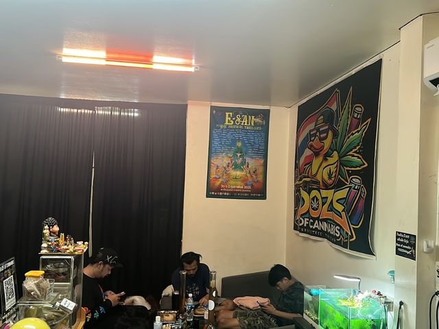 Doze of cannabis 420 กัญชาอุดรธานี storefront
