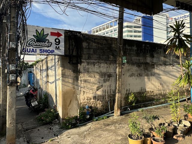 SuaiShop Cannabis Store storefront