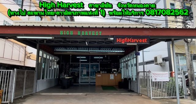 High Harvest สาขา Meechai หนองคาย (Cannabis,Weed,กัญชาใกล้ฉัน) storefront