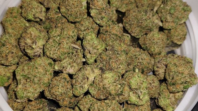 Slow Bliss Cannabis storefront