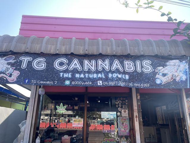 TG Cannabis 2 storefront