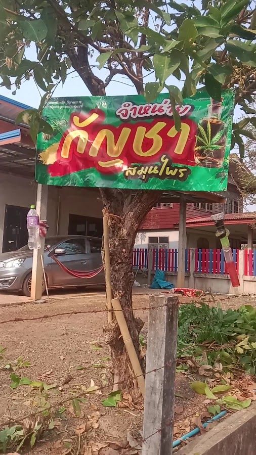 Mon Cannabis บ้านดอนทอยซอยหน้าวัด storefront