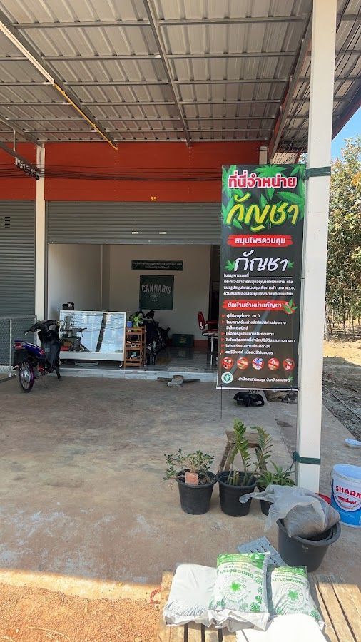 Cannabis OG Shop storefront