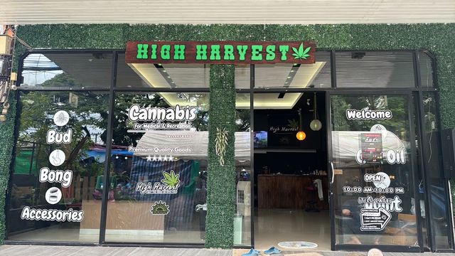 High Harvest Cannabis Gallery Shop & Farm Weed (ร้านกัญชา, ศูนย์รวมกัญชาเเละอุปกรณ์สำหรับสายเขียวครบวงจร) storefront
