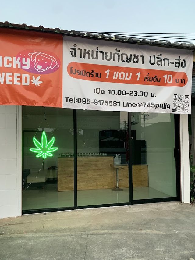 Jacky Weed storefront