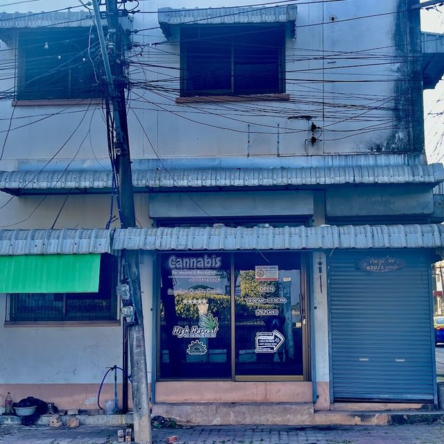 High Harvest สระพังทอง สกลนคร (กัญชา,Cannabis,Weed,อุปกรณ์สายเขียว) storefront