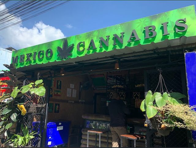 Mexico Cannabis storefront