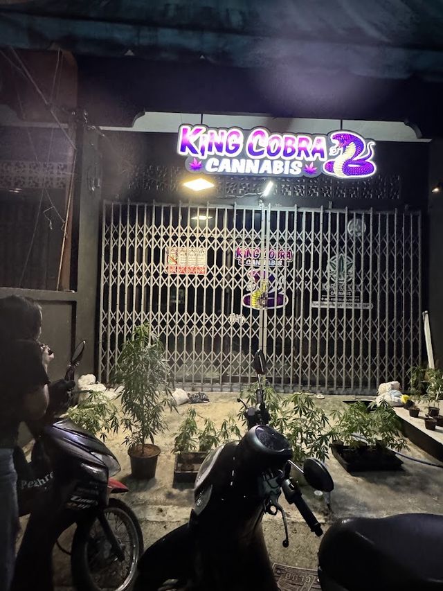 King Cobra Cannabis storefront